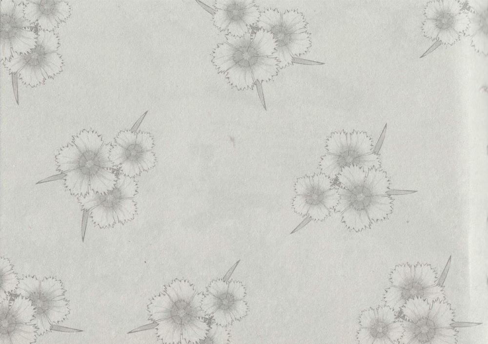 《《史上名妓 ▪ 风尘侠女》小凤仙 中国文苑出版社》连环画第2页