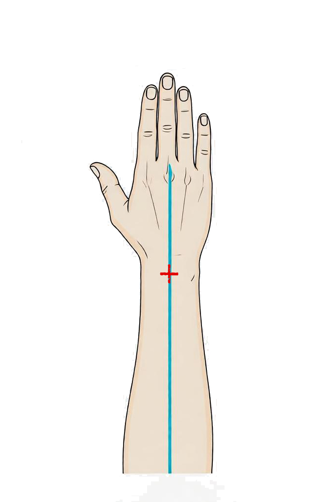 外关穴 / SJ‑5 / Waiguan / Outer Pass