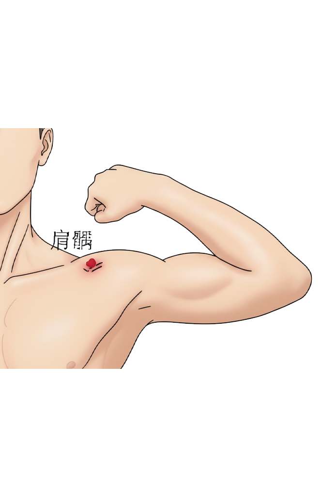 肩髃穴 / LI-15 / Jianyu / Shoulder Bone