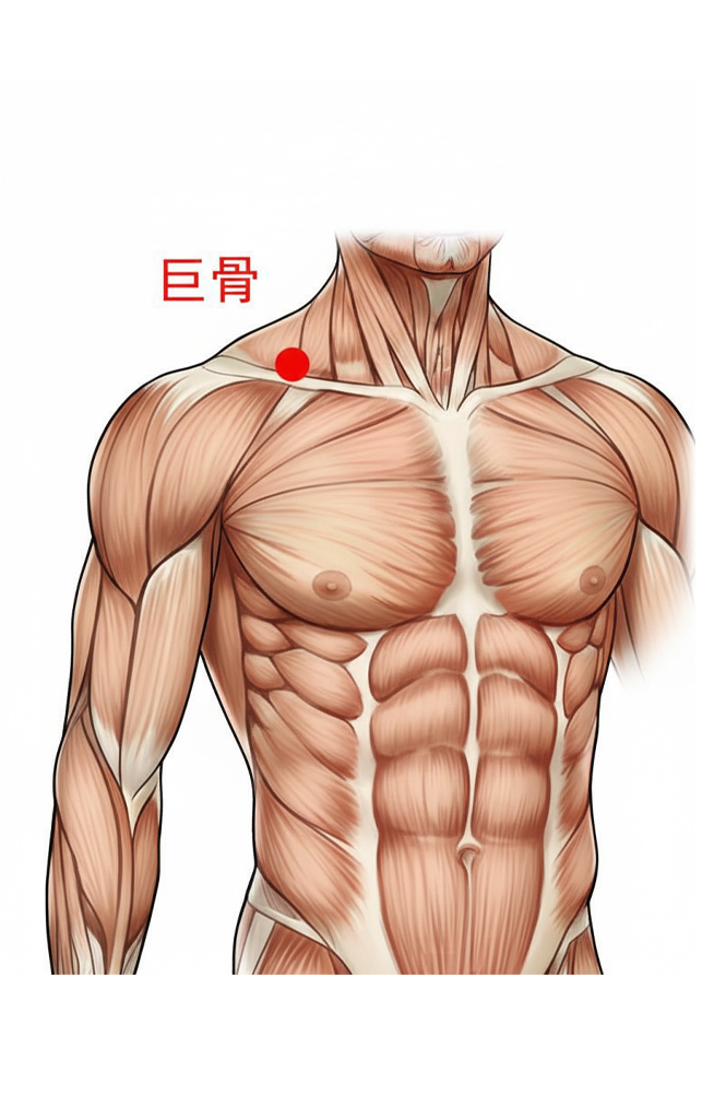 巨骨穴 /  LI-16 / Jugu / Great Bone