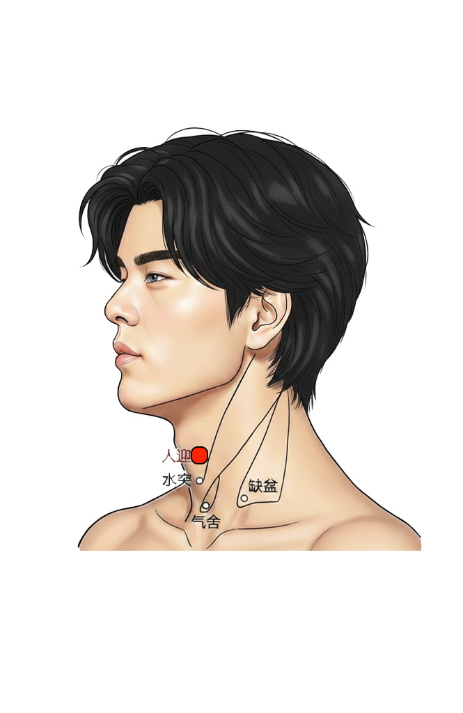 人迎穴 / ST-9 / Renying / Man&rsquo;s Welcome / Welcome of Vital Qi