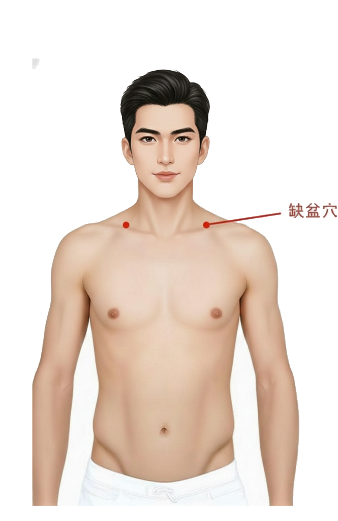 缺盆穴 /  ST-12 / Quepen / Empty Basin / Supraclavicular Fossa
